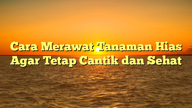 Cara Merawat Tanaman Hias Agar Tetap Cantik dan Sehat