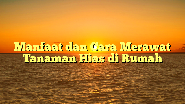 Manfaat dan Cara Merawat Tanaman Hias di Rumah