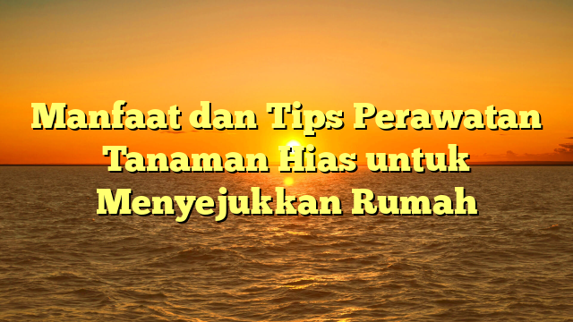 Manfaat dan Tips Perawatan Tanaman Hias untuk Menyejukkan Rumah