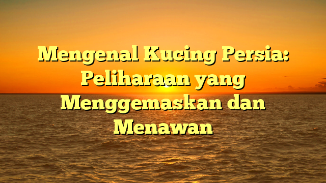 Mengenal Kucing Persia: Peliharaan yang Menggemaskan dan Menawan