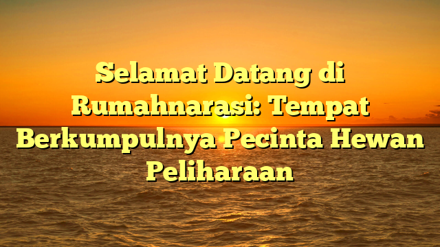 Selamat Datang di Rumahnarasi: Tempat Berkumpulnya Pecinta Hewan Peliharaan