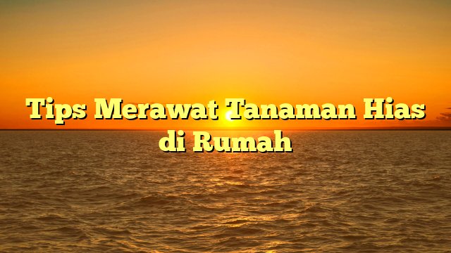 Tips Merawat Tanaman Hias di Rumah