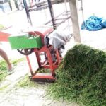 Cara Memilih Mesin Chopper Rumput Sesuai Kebutuhan Usaha